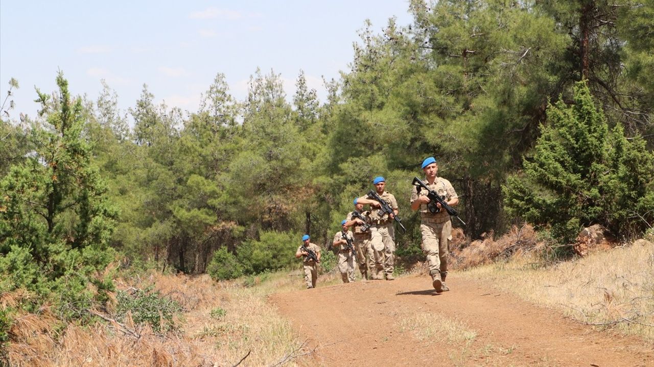 Kilis'te Orman Yangınlarına Karşı Hava ve Karadan Denetimler Başlatıldı