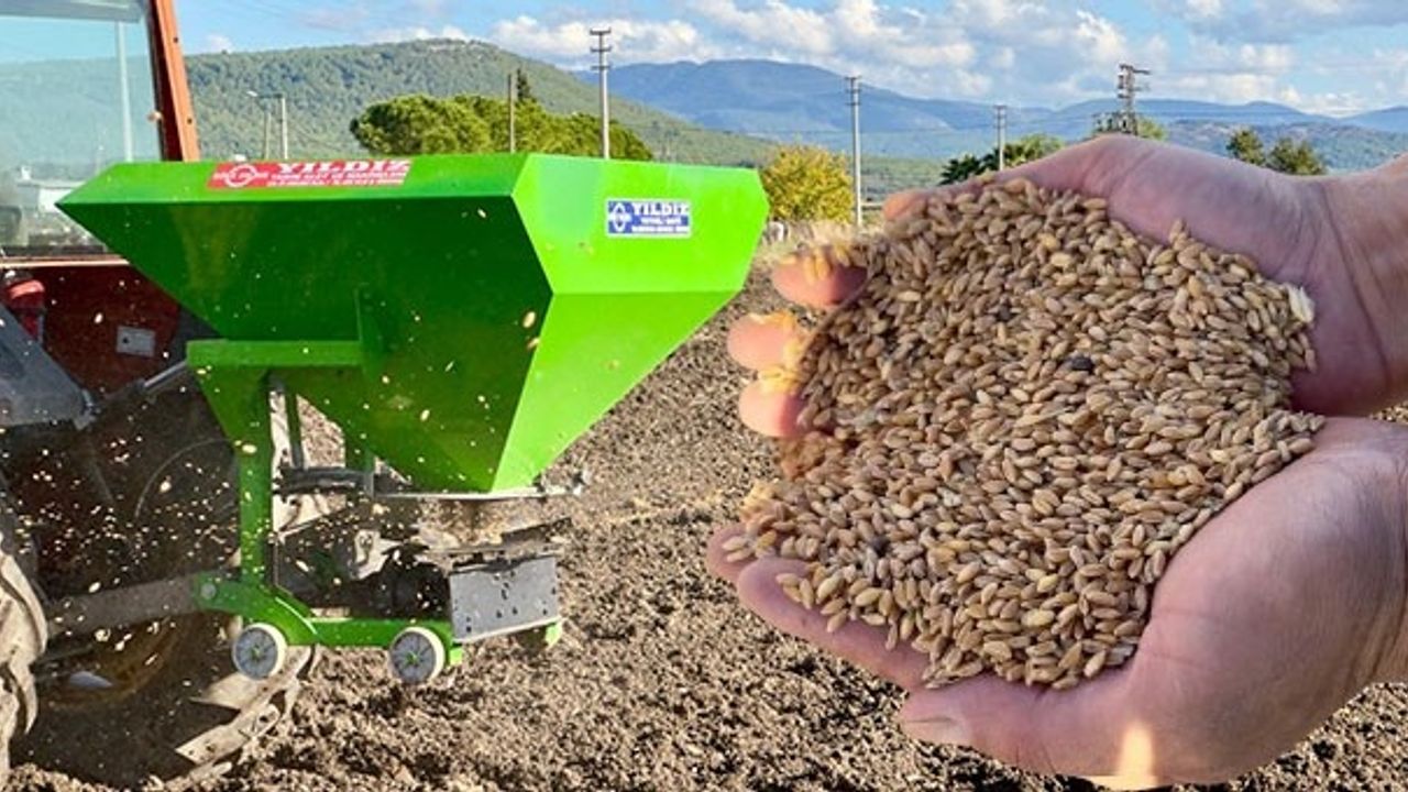 Kırıkkale'de Ücretsiz Fide Dağıtımı 16 Mayıs'ta!