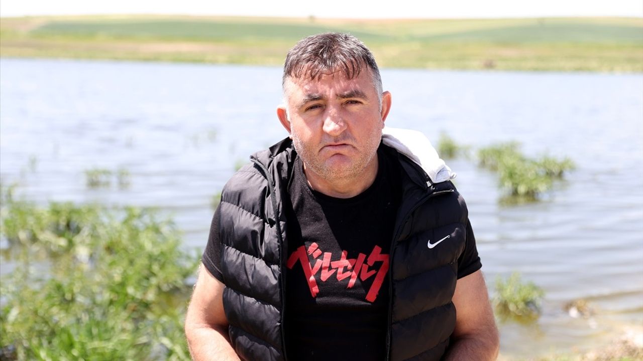 Kırklareli Terzili Göleti'ndeki Balık Ölümleri İnceleniyor