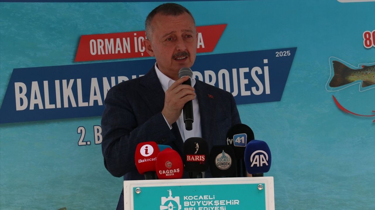 Kocaeli'de 8 Bin Kırmızı Benekli Alabalık Yavrusu Dereye Bırakıldı