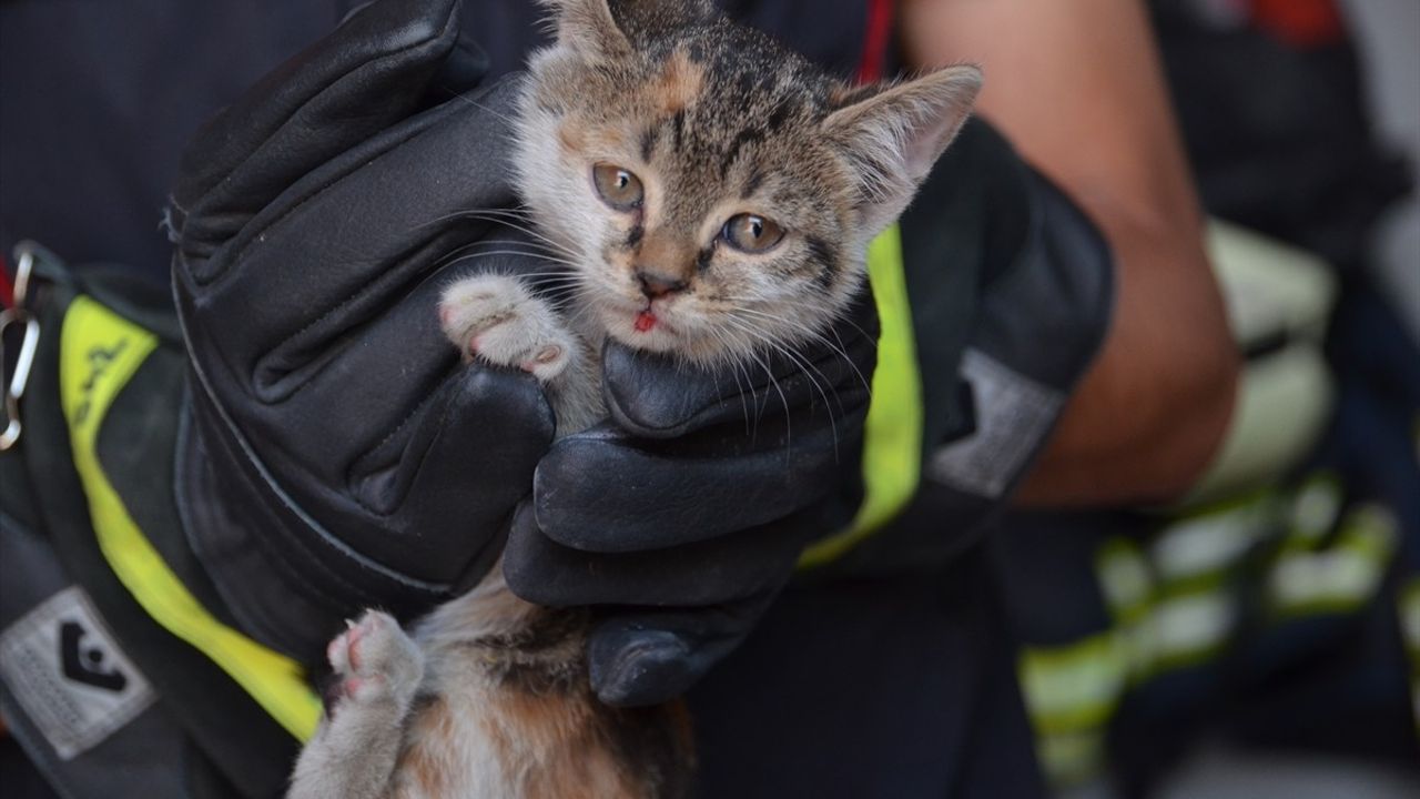 Konya'da İtfaiye, Sıkışan Kedi Yavrusunu Kurtardı