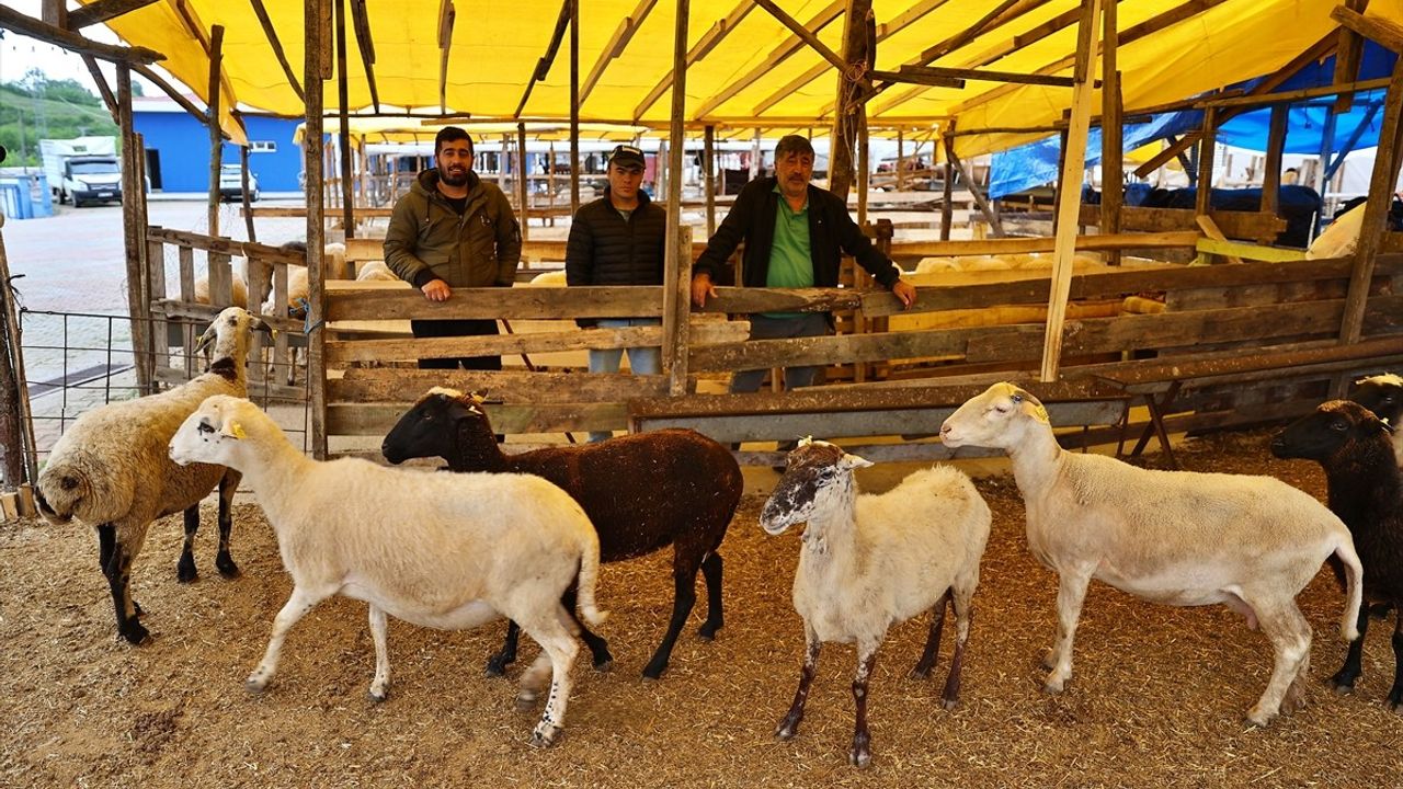 Kurban Seçimi ve Kesiminde Dikkat Edilmesi Gereken Hususlar