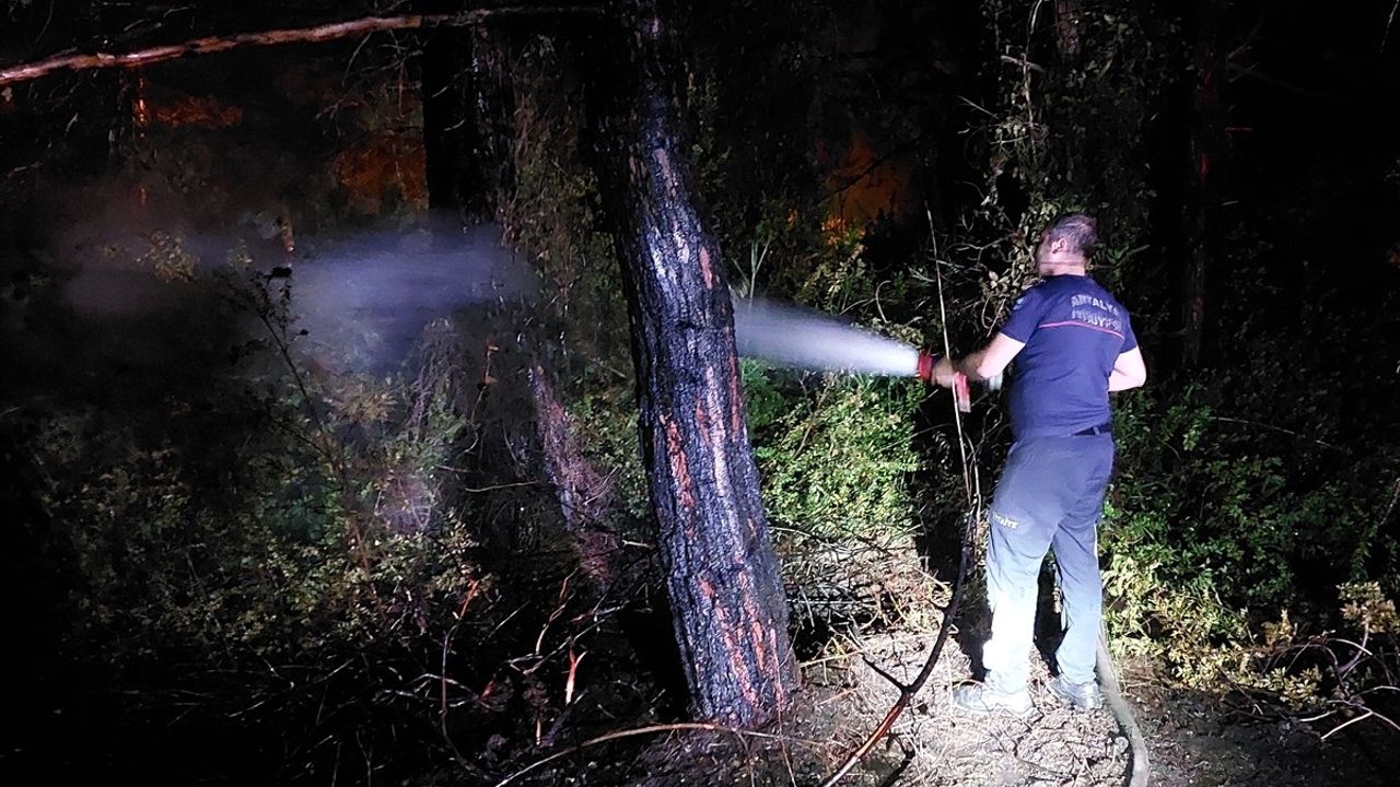 Manavgat'ta Orman Yangını Kontrol Altına Alındı