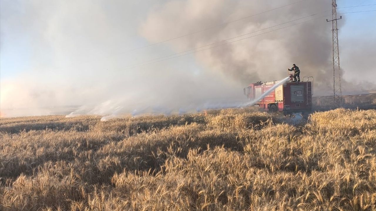 Mardin'de Yangın Felaketi: 155 Dönüm Buğday Alanı Zarar Gördü