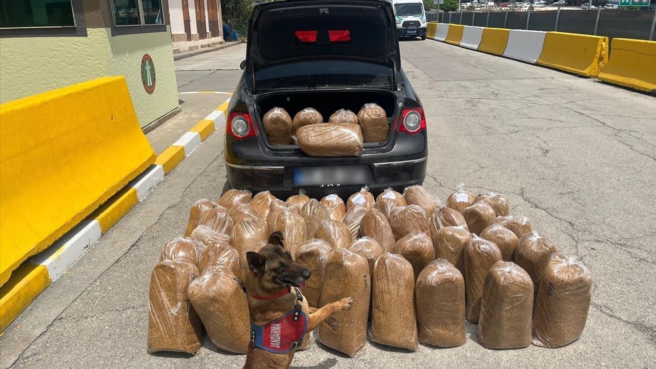 Mersin'de 292 Bin Makaron ve 250 Kilogram Bandrolsüz Tütün Ele Geçirildi