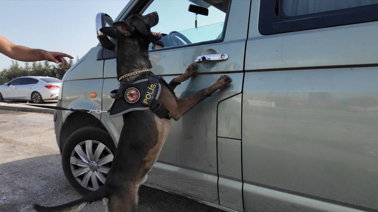 Mersin'de 387 Bin 464 Uyuşturucu Hap Ele Geçirildi