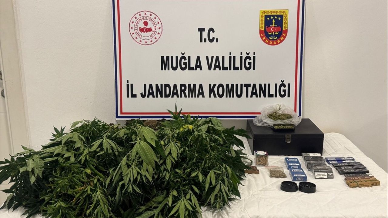 Muğla'da Evde Uyuşturucu Madde Üretimi: 2 Zanlı Gözaltına Alındı