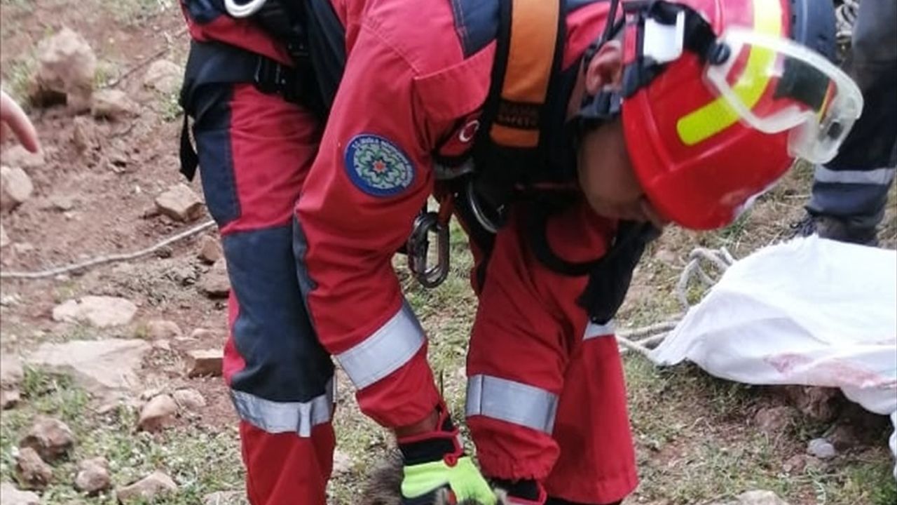 Muğla'da Sulama Kanalına Düşen Köpek ile Kuyuya Düşen Domuz Yavrusunun Kurtarılması