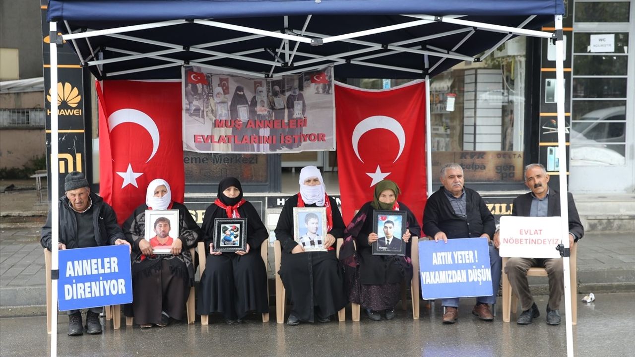 Muş'ta Aileler 'Terörsüz Türkiye' İçin Eylemde: Evlat Hasreti Bitiyor mu?