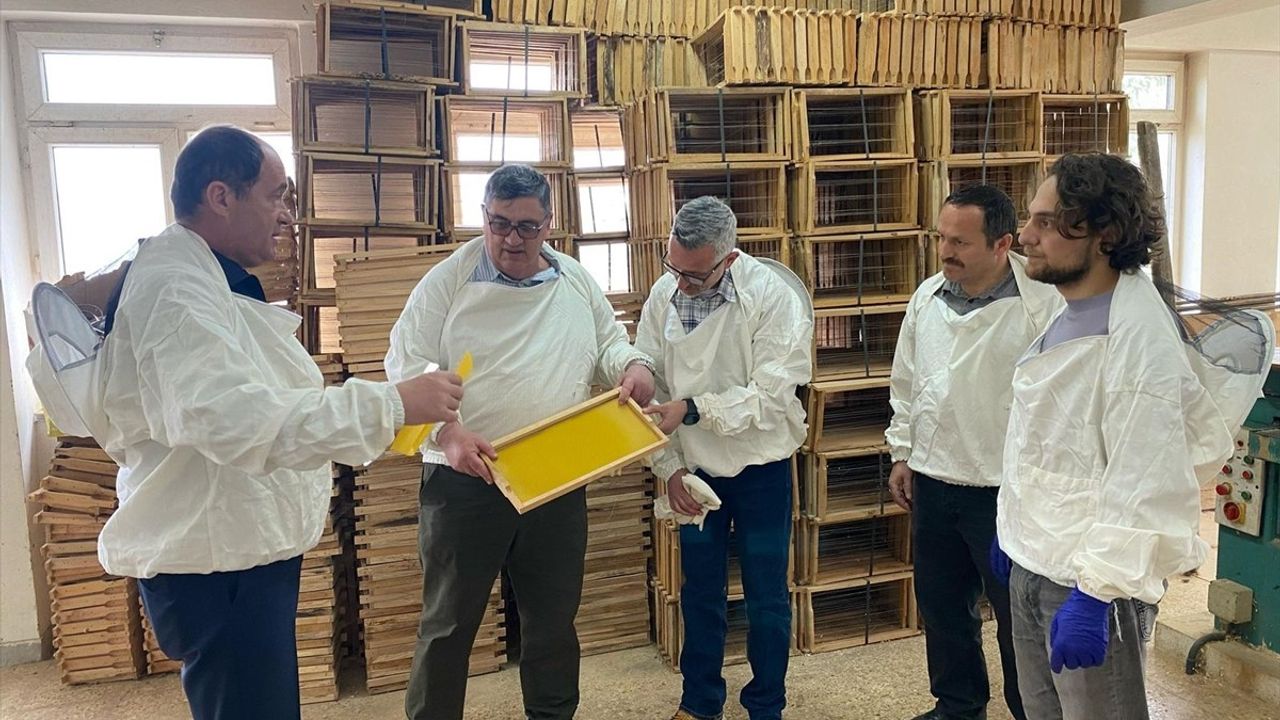 Ordu'da 30 Ülkeden Arıcılara Eğitim Verildi