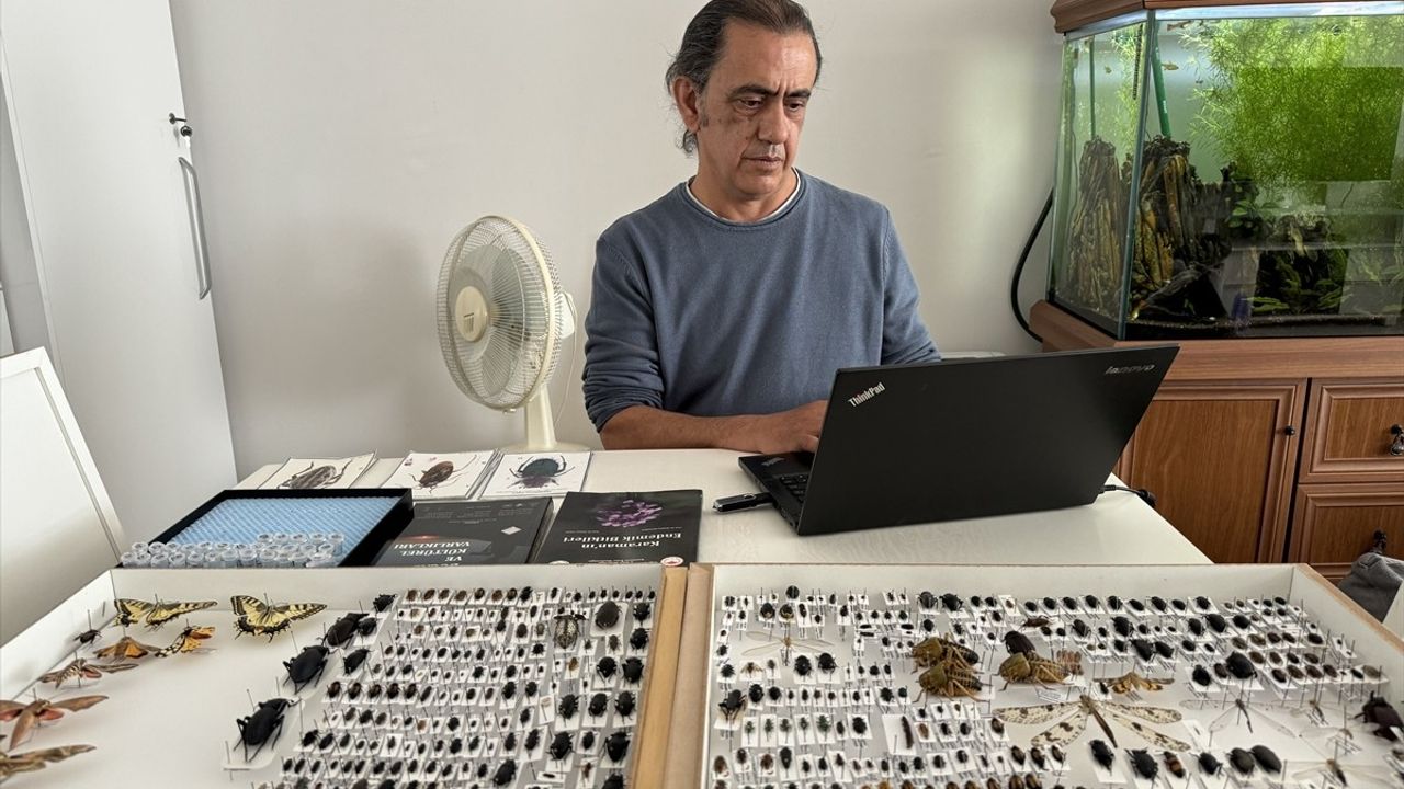 Özgür Koçak, Ailesinin İsimlerini Taşıyan Yeni Böcek Türleri Keşfetti