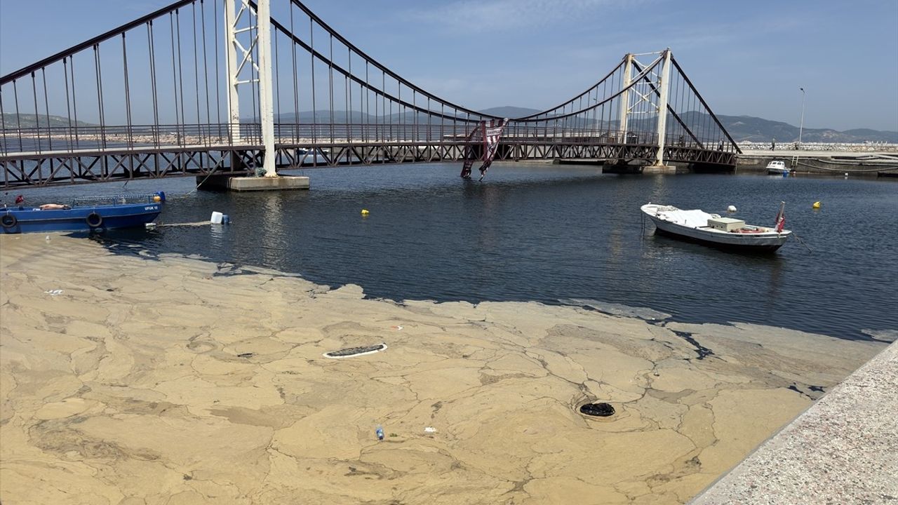 Prof. Dr. Sarı: Marmara Denizi Müsilaj ve Kirliliğe Karşı Acil Önlem Almalı