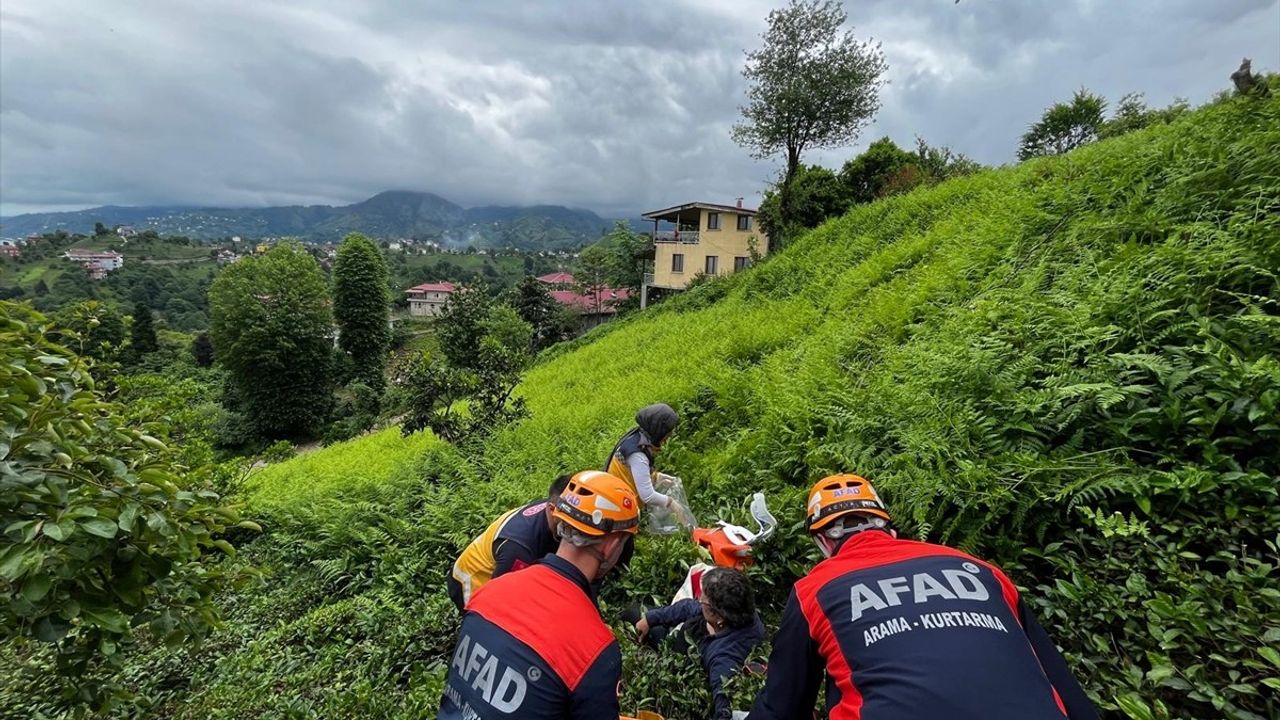 Rize'de Çay Bahçesinde Yaralanan Kadın Hastaneye Kaldırıldı