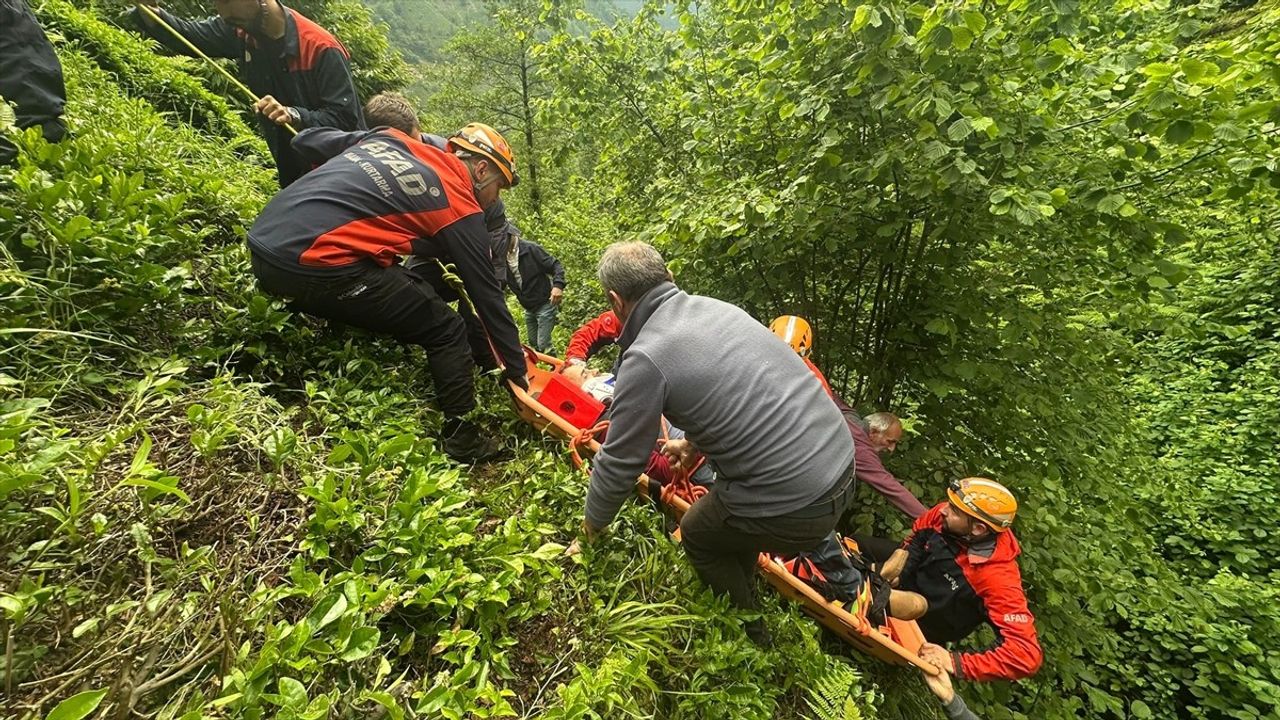 Rize'de Çay Hasadı Sırasında Yamaçtan Yuvarlanan Kişi Yaralandı
