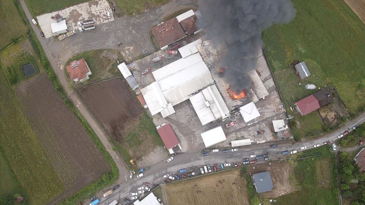 Sakarya'da Fındık Kırım Fabrikasında Yangın Kontrol Altına Alındı