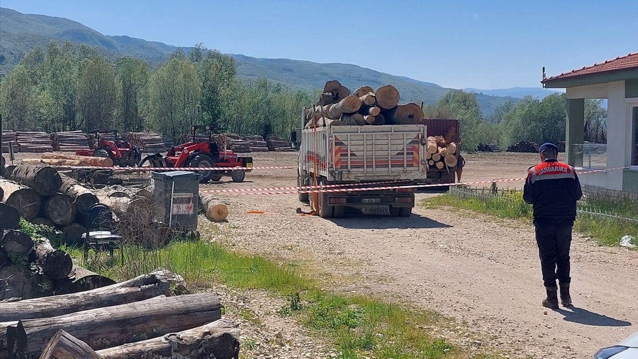 Sakarya'da Tomruk Devrilmesi Sonucu İşçi Hayatını Kaybetti