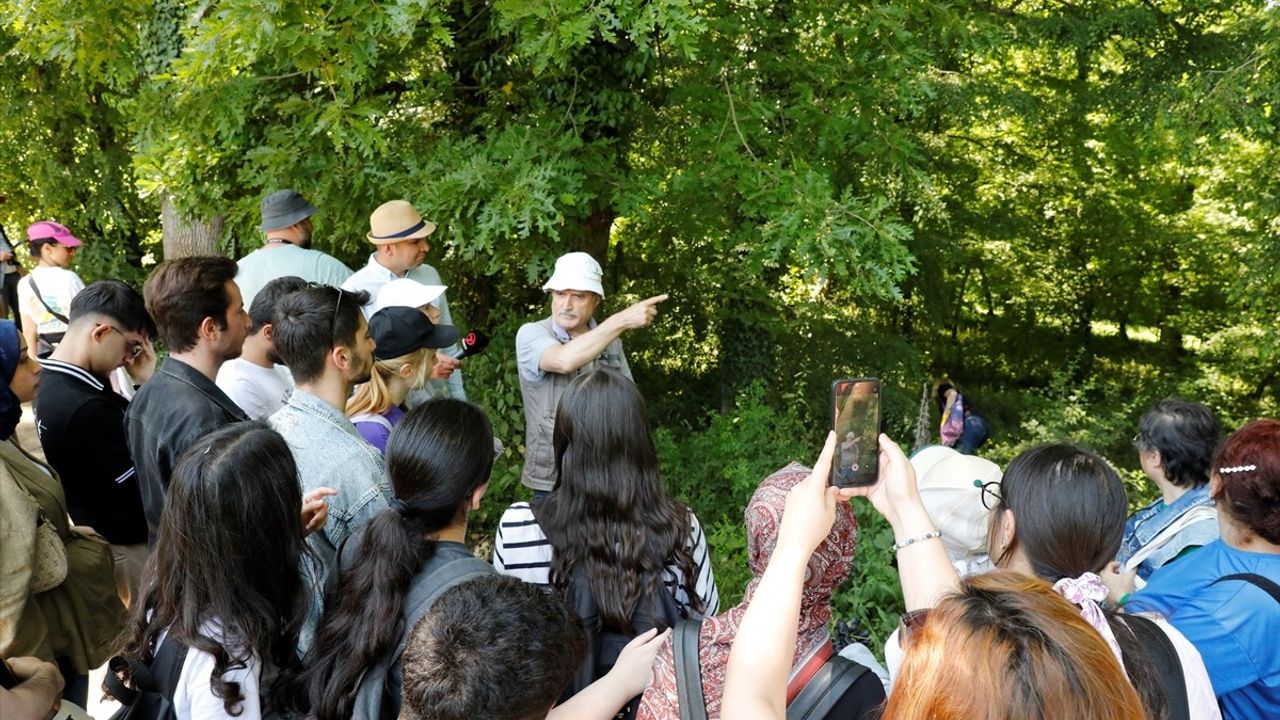 Samsun'da 8. Yöresel Ot Yemekleri Festivali Başladı
