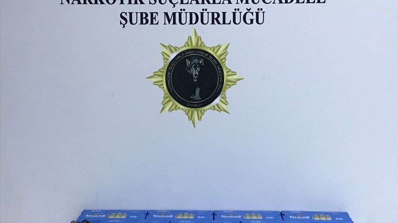 Samsun'da Silah Kaçakçılığı Operasyonu: 2 Gözaltı