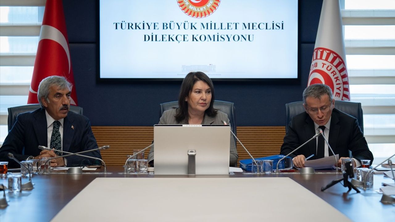 TBMM Dilekçe Komisyonu'na 2 Yılda 19 Bin Başvuru Yapıldı