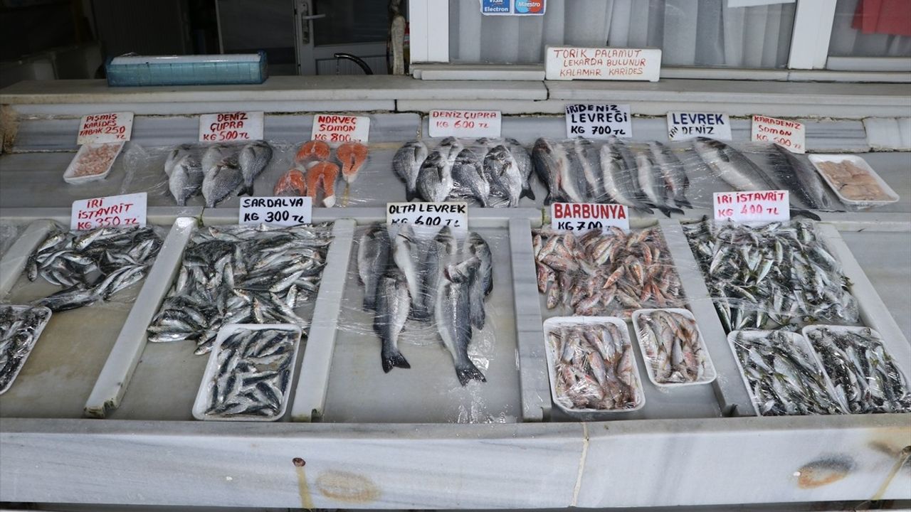 Tekirdağ'da Balık Bereketi: Küçük Teknelerle Avlanma Devam Ediyor