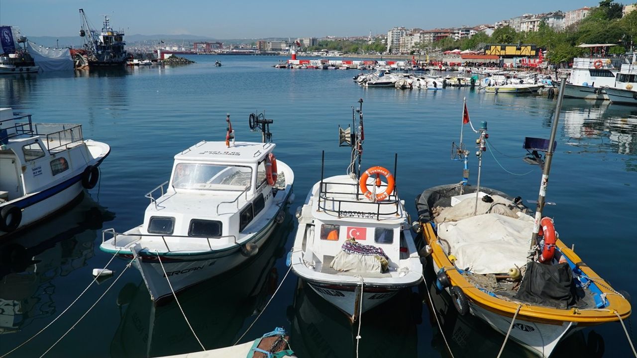 Tekirdağlı Balıkçılar İstavrit İçin Denize Açıldı