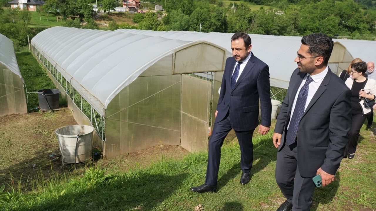 TİKA, Bosna Hersek'te Makarnacılık ve Meyve-Sebze İşleme Tesisi Kurdu