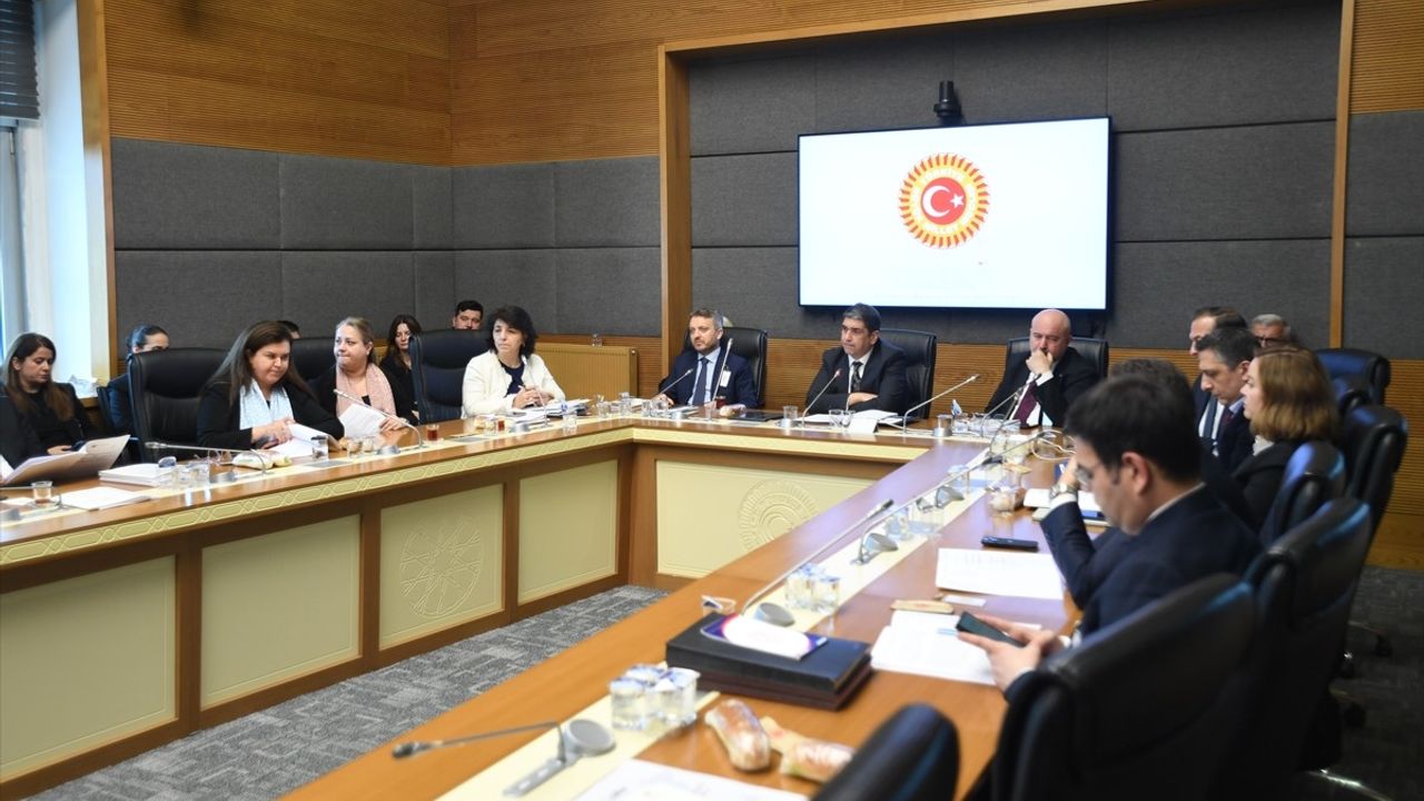 TKYB'nin 2022 Hesapları TBMM KİT Komisyonunda Görüşüldü