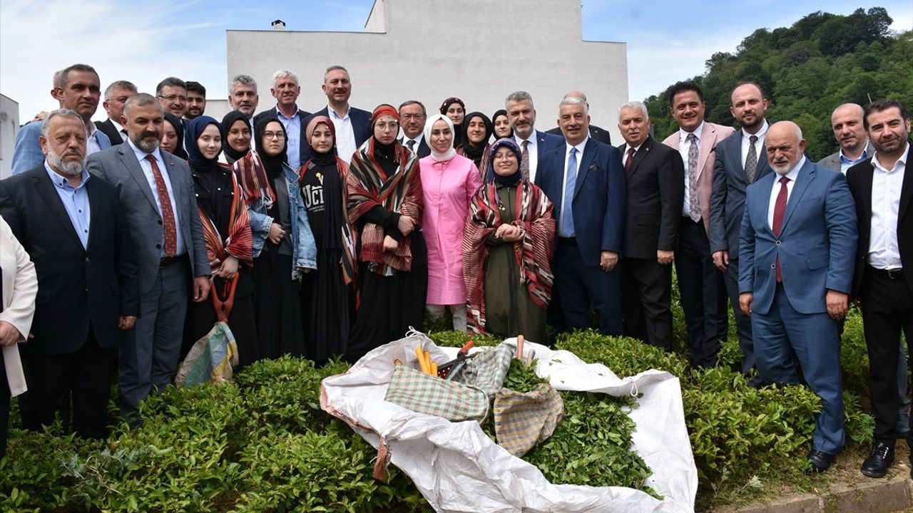 Trabzon'da 2025 Yaş Çay Sezonu Kampanyası Başladı