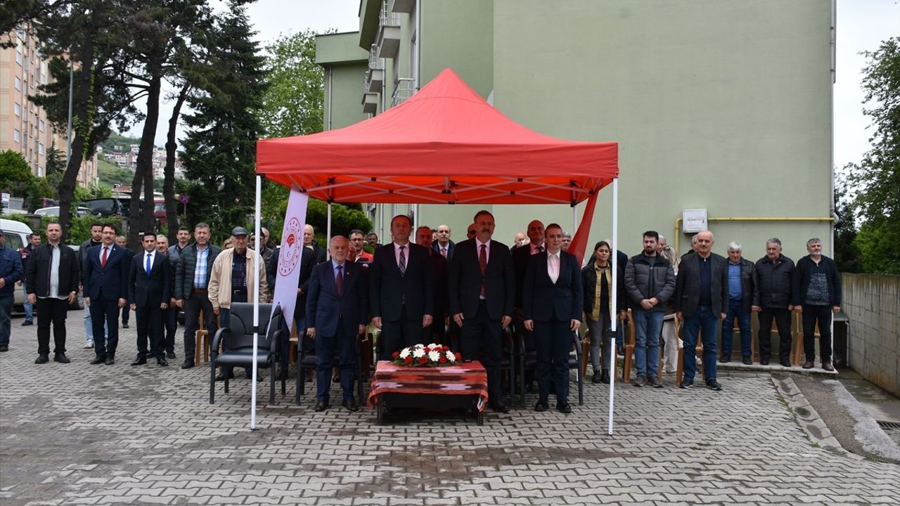 Trabzon'da 260 Bin Sebze Fidesi Üreticilere Dağıtıldı