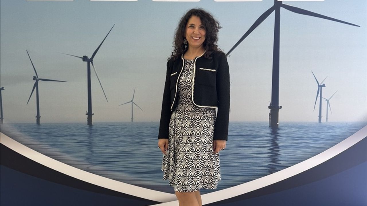 Türk İş Kadınından Kaliforniya'da Öncü Rüzgar Enerjisi Projesi