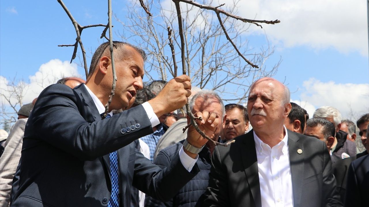 TZOB Başkanı Bayraktar, Gaziantep ve Kahramanmaraş'taki Zirai Don Zararlarını İnceledi