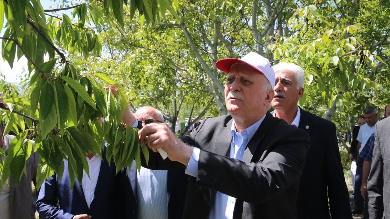 TZOB Başkanı Bayraktar Tokat'ta Don Hasarını İnceledi