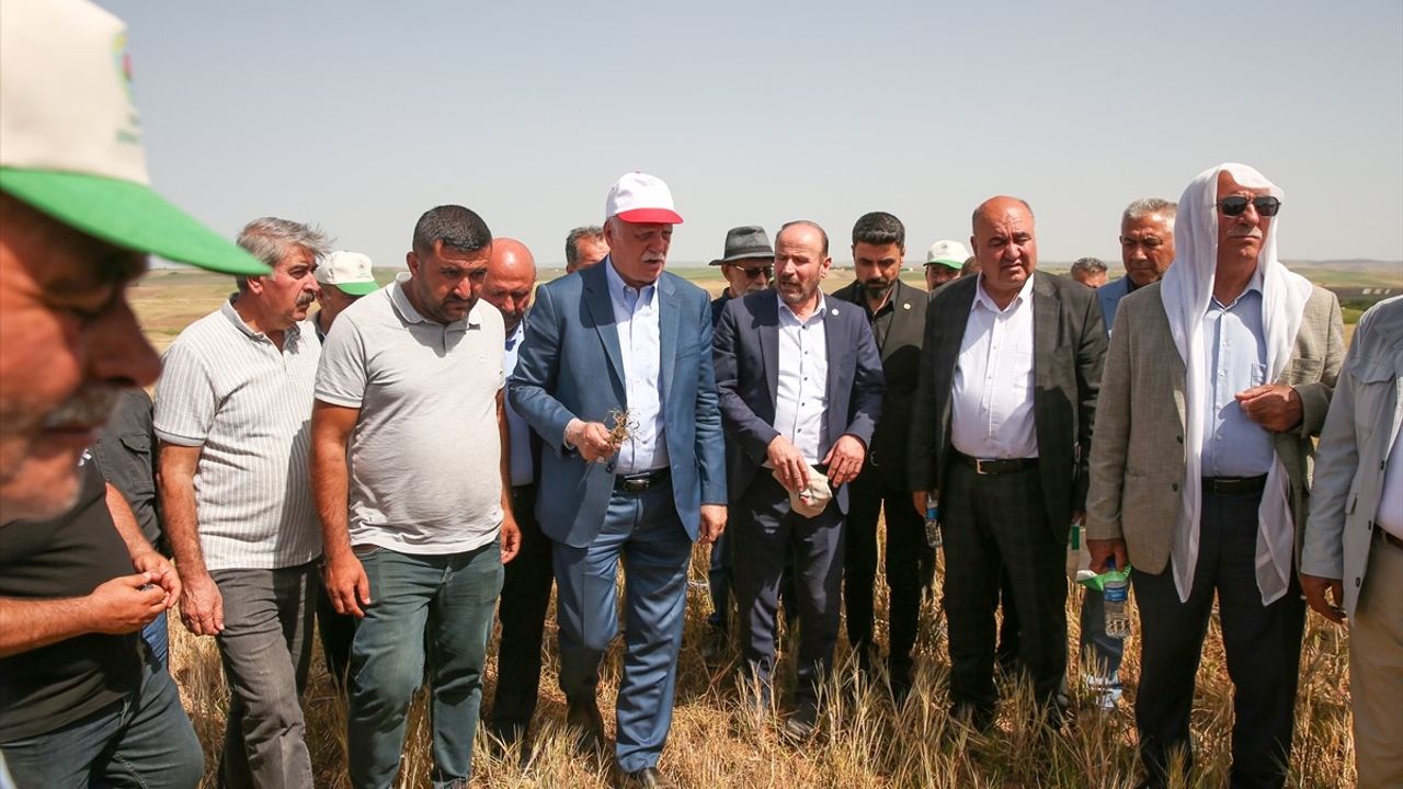 TZOB Genel Başkanı Bayraktar, Diyarbakır'daki Kuraklık Krizini İnceledi