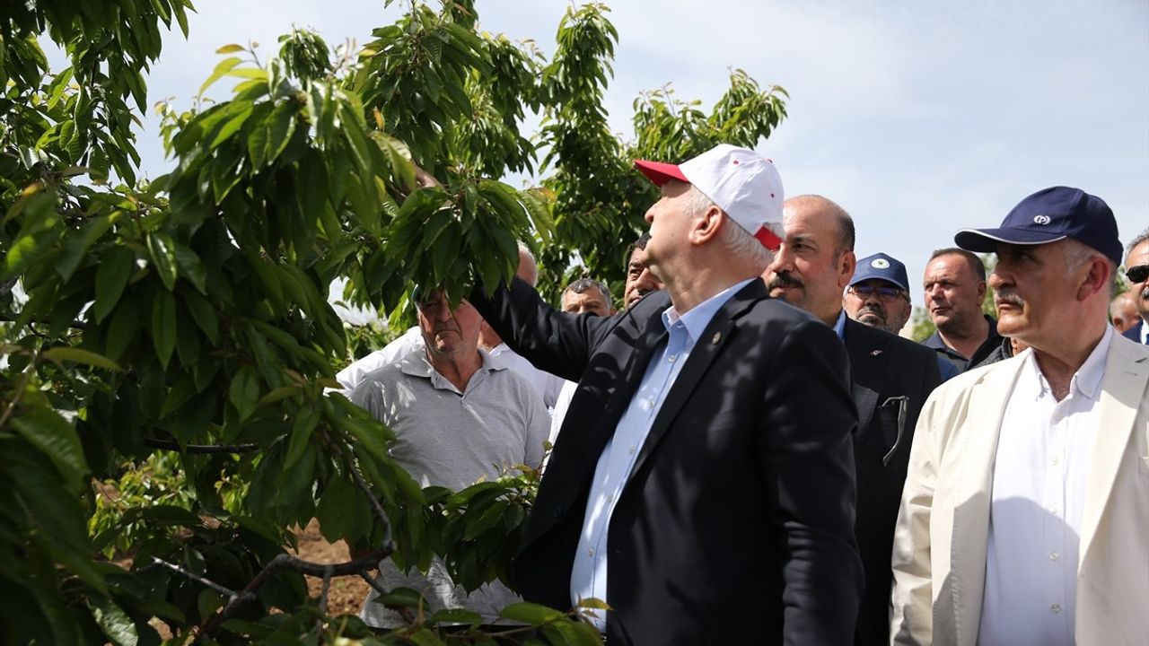 TZOB Genel Başkanı Bayraktar, Eskişehir'de Kiraz Üreticilerini Ziyaret Etti