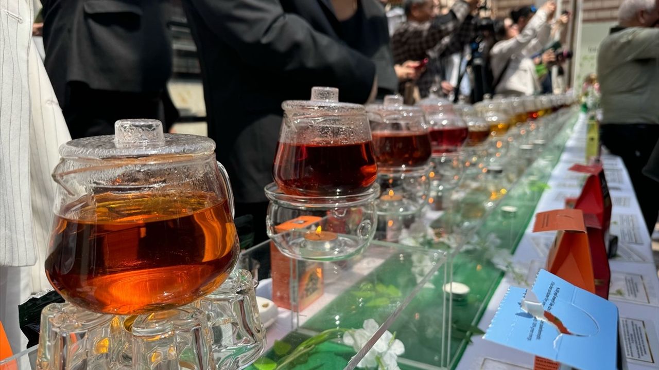 Uluslararası Çay Günü, Beta Yeni Han’da Renkli Etkinliklerle Kutlandı