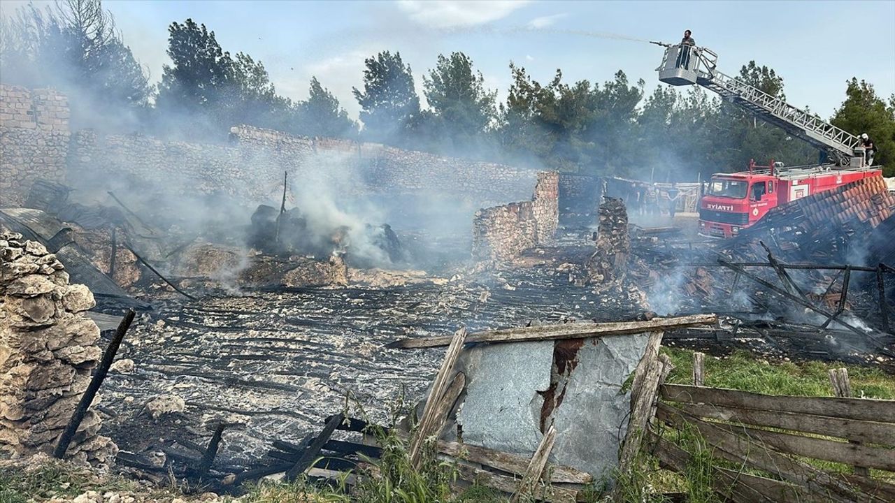 Uşak'ta Ahır Yangını: 54 Kuzu Telef Oldu