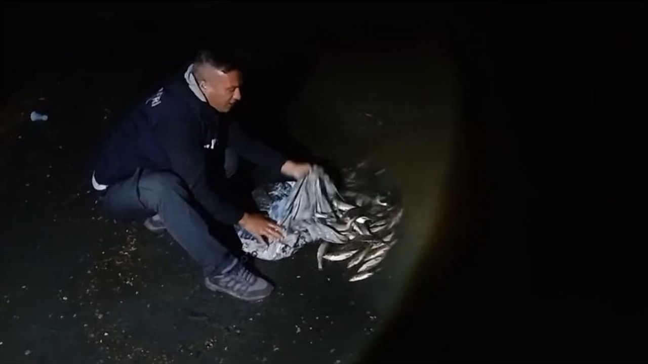 Van'da Kaçak İci Kefali Avına 59 Bin Lira Ceza