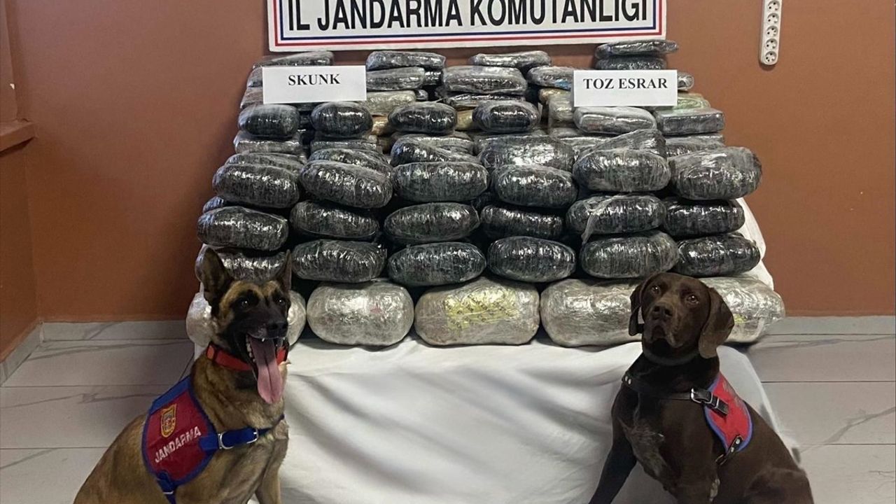 Van'da Uyuşturucu Operasyonu: 90 Kilo 608 Gram Ele Geçirildi