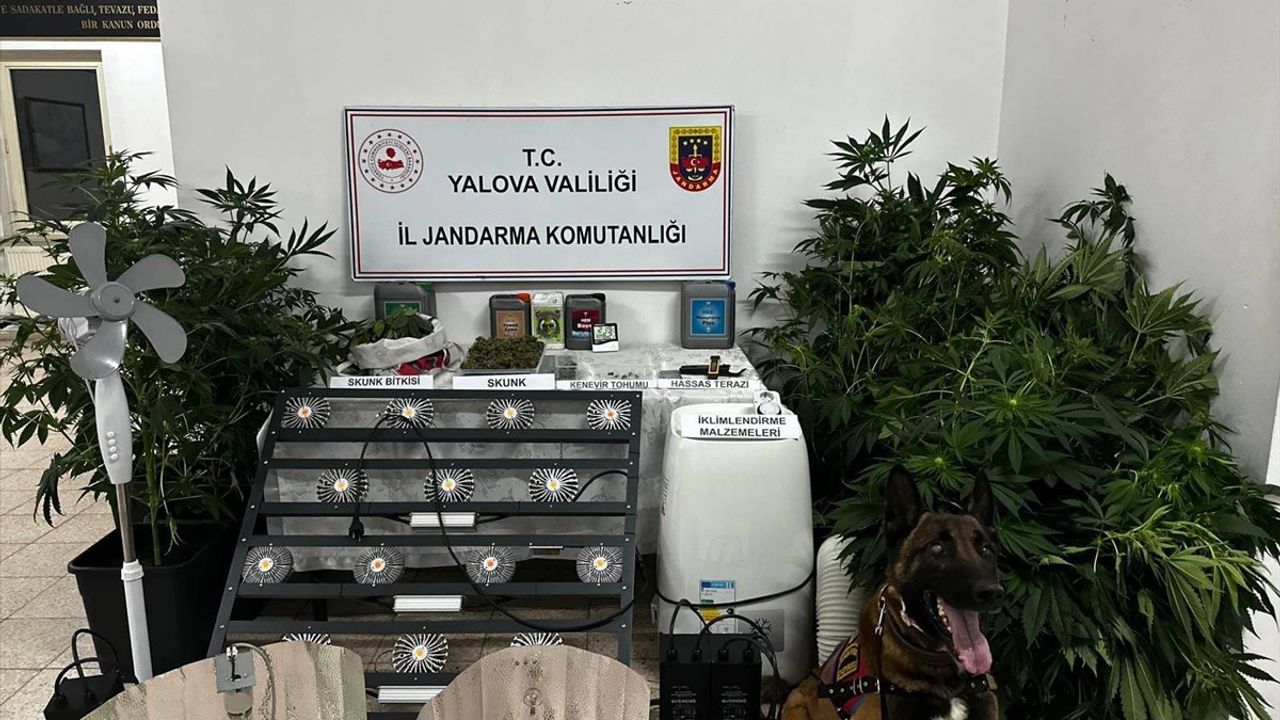 Yalova'da Uyuşturucu İmalatı: Zanlı Tutuklandı