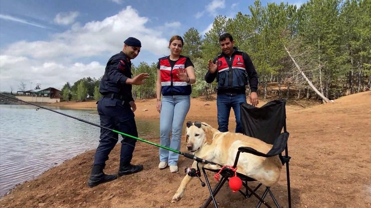 Yozgat'ın İz Takip Köpeği 'Dost' Emekli Oldu