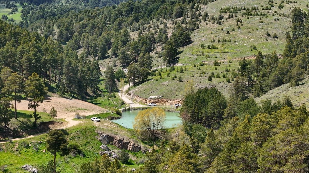 Yozgat'ta 1800 Rakımda Doğaseverlerin Gözdesi: Çerçialan Göleti