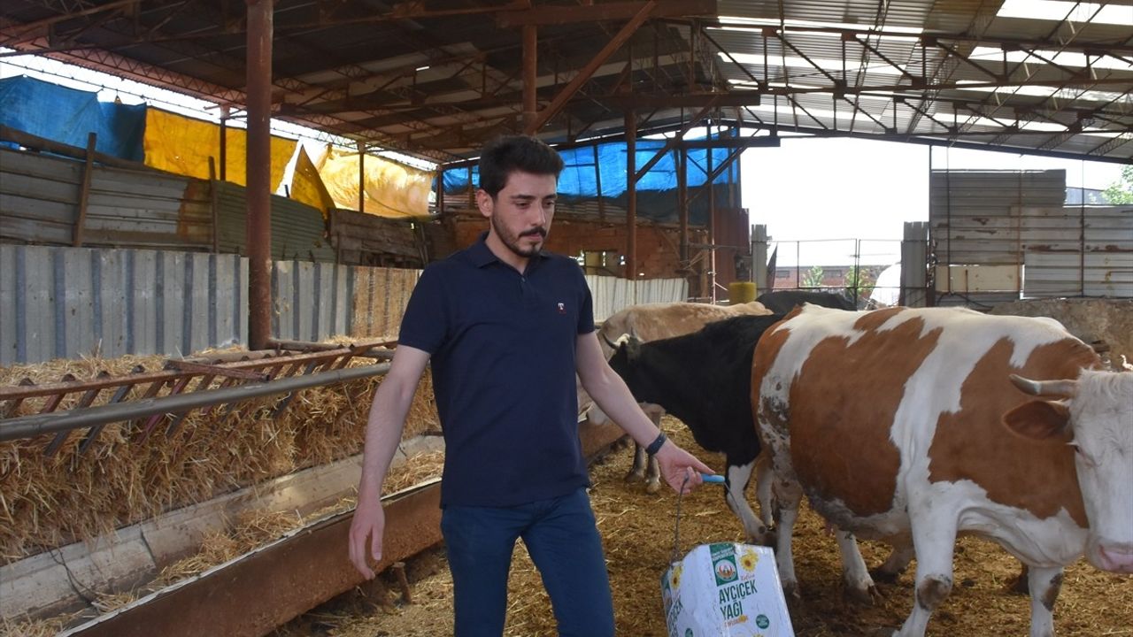 Yüksek Lisans Mezunu Genç Çiftçi Teknolojiyle Arazisini Artırıyor