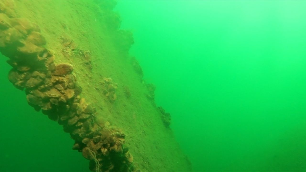 53 Yıl Sonra Bulunan Sapanca Gölü'ndeki Uçak Enkazı