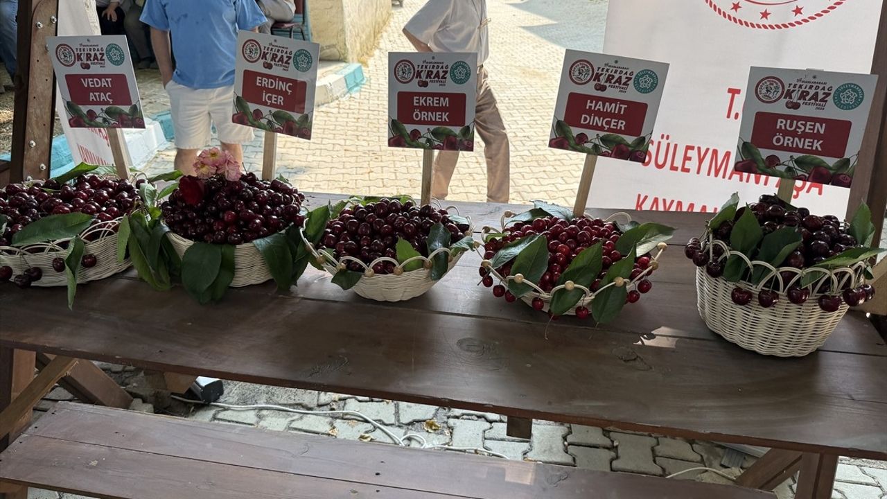 59. Uluslararası Kiraz Festivali Tekirdağ'da Coşkuyla Başladı