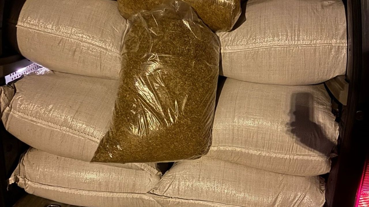 Adana'da 1 Ton 250 Kilogram Kaçak Tütün Ele Geçirildi
