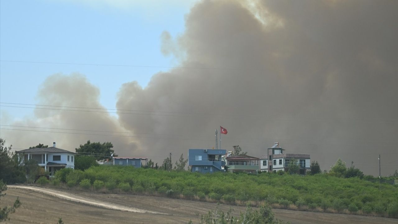 Adana'da Orman Yangını: Havadan ve Karadan Mücadele Devam Ediyor