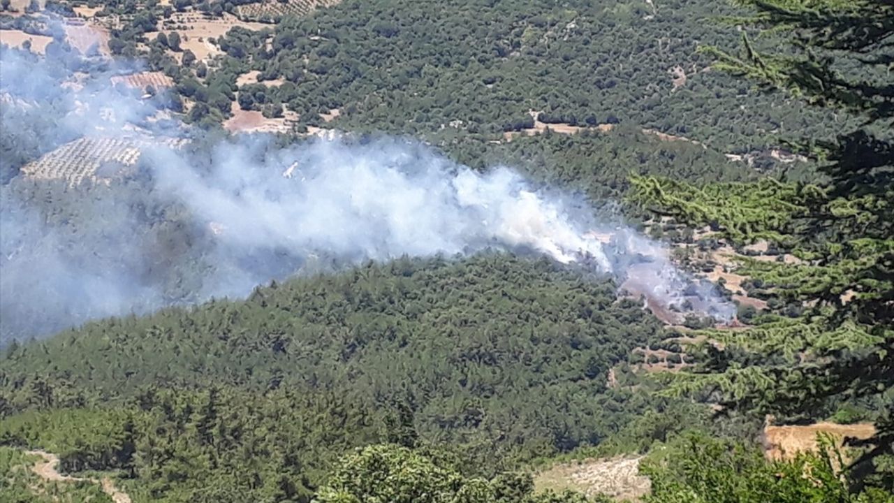 Adana'da Orman Yangını Kontrol Altına Alındı