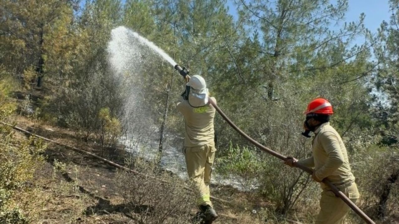 Adana'daki Orman Yangını Kontrol Altına Alındı