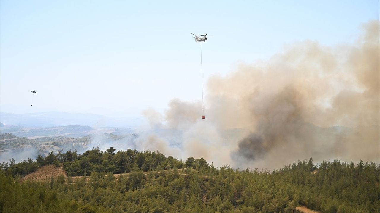 Adana'daki Orman Yangını Kontrol Altına Alındı, 6 Şüpheli Gözaltında
