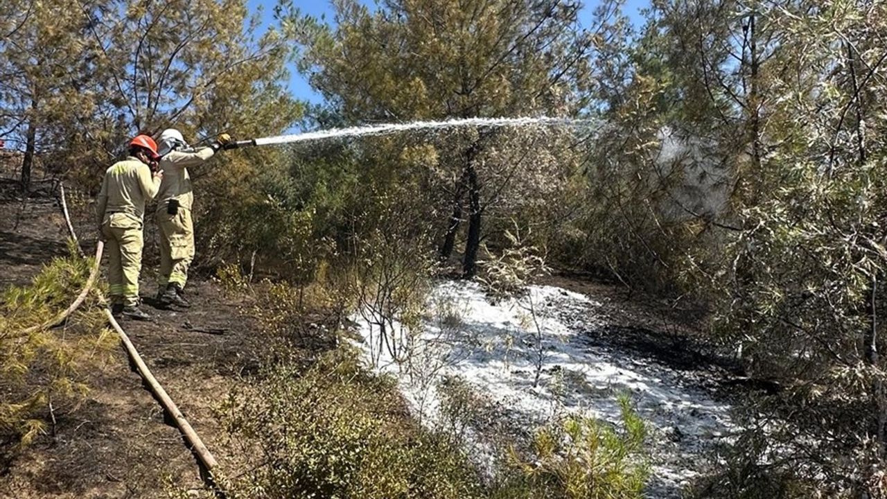 Adana İmamoğlu'nda Orman Yangını: Havadan ve Karadan Mücadele